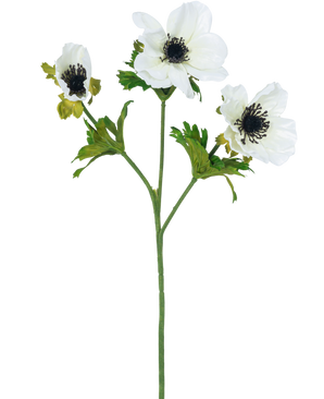La Fleur Artificielle Anémone ramifiée 56 cm blanche possède une seule tige verte avec trois fleurs d'anémone blanches, chacune avec un cœur foncé et de fines étamines noires, ainsi que des feuilles vertes, le tout sur un fond blanc uni.
