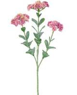 Le Branche Artificielle Sedum 56 cm rose clair possède une seule tige verte avec de multiples branches, chacune décorée de bouquets de petites fleurs rose clair aux pétales arrondis, sur un fond blanc.