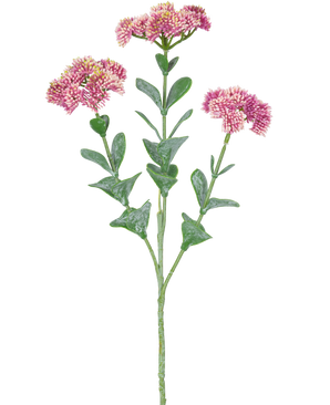 Le Branche Artificielle Sedum 56 cm rose clair possède une seule tige verte avec de multiples branches, chacune décorée de bouquets de petites fleurs rose clair aux pétales arrondis, sur un fond blanc.