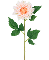 De Kunstbloem Dahlia Real Touch champagne 54 cm heeft een enkele steel met een licht champagne dahlia bloem in volle bloei en groene bladeren, afgebeeld tegen een witte achtergrond.