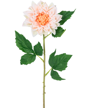 De Kunstbloem Dahlia Real Touch champagne 54 cm heeft een enkele steel met een licht champagne dahlia bloem in volle bloei en groene bladeren, afgebeeld tegen een witte achtergrond.