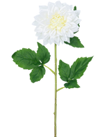 La Fleur Artificielle Dahlia Real Touch blanc 54 cm possède une seule tige de dahlia blanche avec un cœur jaune et des feuilles vertes, sur un fond blanc uni.