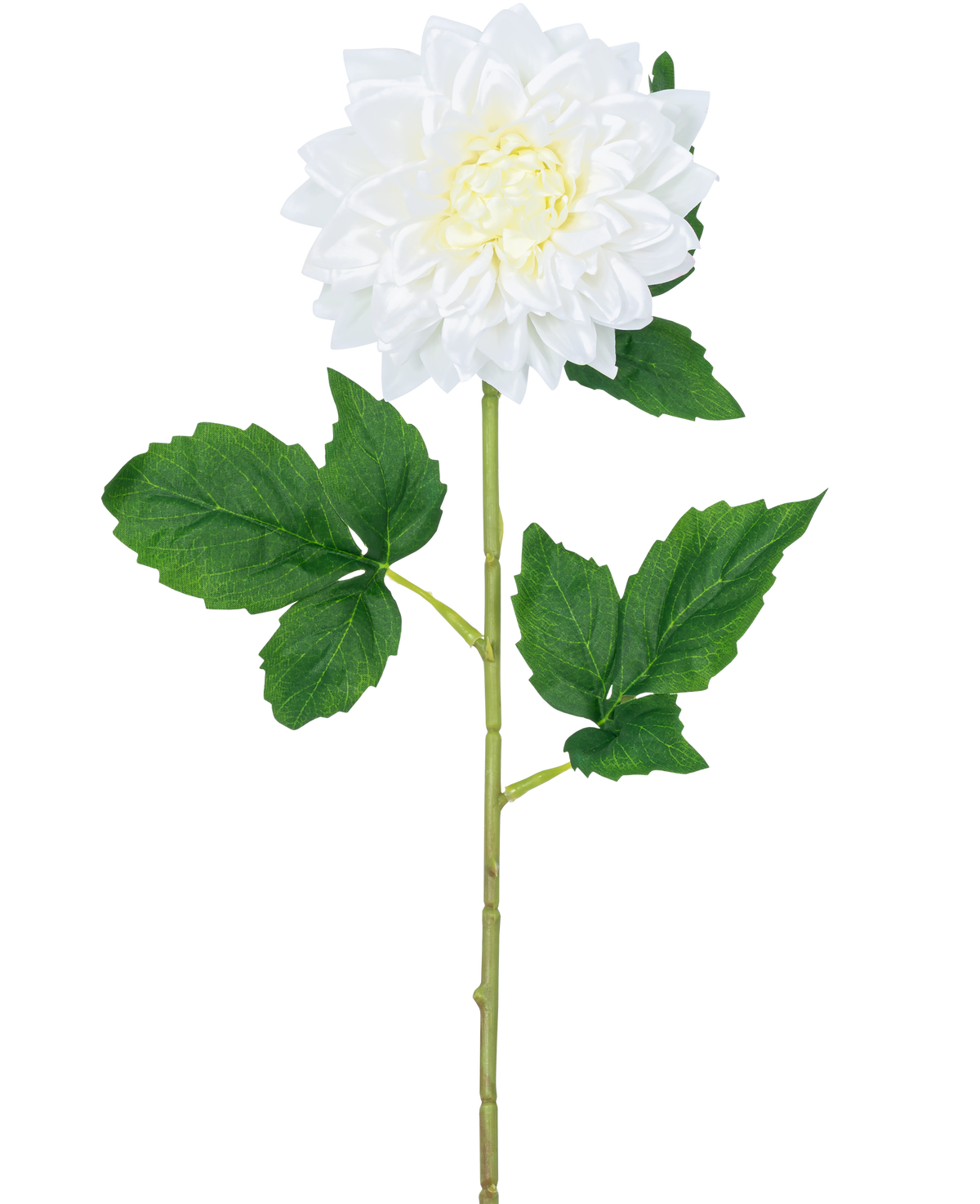La Fleur Artificielle Dahlia Real Touch blanc 54 cm possède une seule tige de dahlia blanche avec un cœur jaune et des feuilles vertes, sur un fond blanc uni.