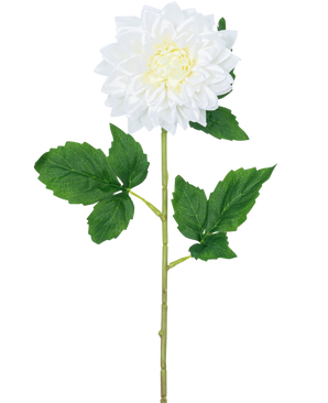 La Fleur Artificielle Dahlia Real Touch blanc 54 cm possède une seule tige de dahlia blanche avec un cœur jaune et des feuilles vertes, sur un fond blanc uni.