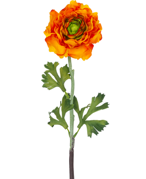 La Fleur Artificielle Ranunculus 51 cm orange est une fleur artificielle de renoncule orange avec des pétales superposés et des feuilles vertes sur une longue tige, parfaite comme accent décoratif.