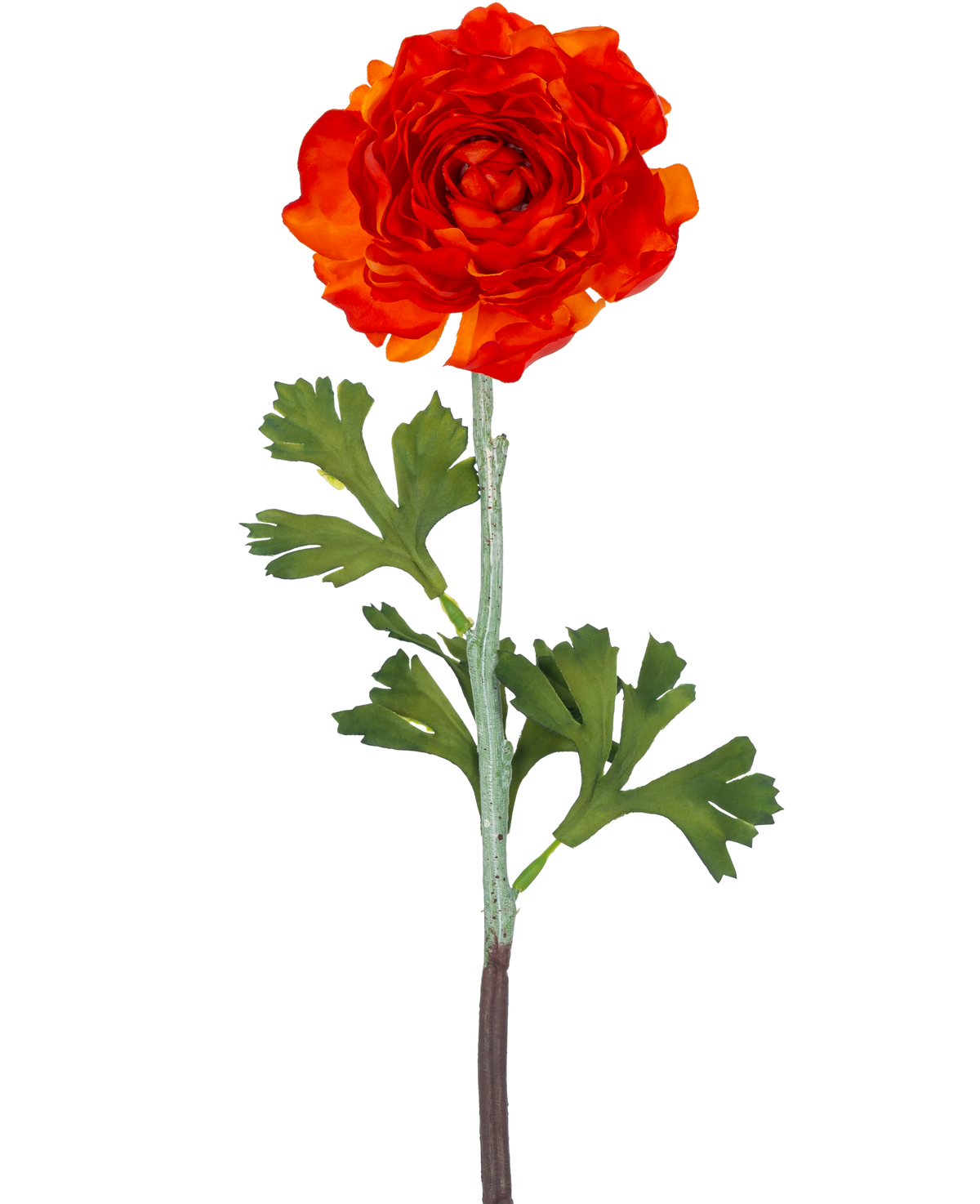 La fleur artificielle Ranunculus 51 cm orange foncé a une fleur de renoncule artificielle orange foncé vibrante avec des pétales superposés et des feuilles vertes lobées sur une longue tige, sur un fond blanc uni.