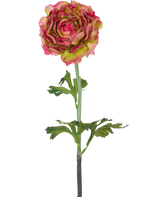 La Fleur Artificielle Renoncule 51 cm rose/vert est une renoncule artificielle simple avec des pétales roses et verts, des feuilles vertes et une longue tige, sur un fond blanc.