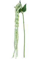 La fleur artificielle Amaranthus 124 cm verte a une seule tige verte avec de longues grappes pendantes de petites fleurs vert clair et deux grandes feuilles vertes, sur un fond blanc.