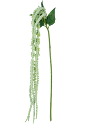 Fleur artificielle Amaranthus vert 122 cm