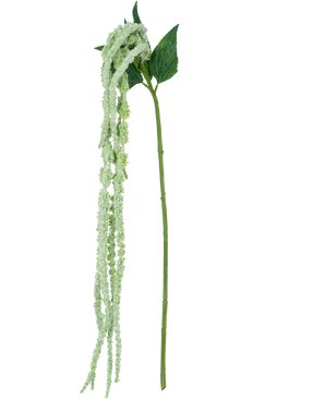 La fleur artificielle Amaranthus 124 cm verte a une seule tige verte avec de longues grappes pendantes de petites fleurs vert clair et deux grandes feuilles vertes, sur un fond blanc.