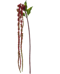 Fleur artificielle Amaranthus rouge  122 cm