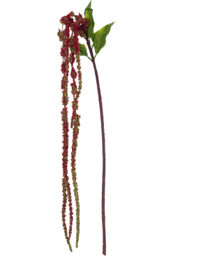 La Fleur Artificielle Amaranthus 122 cm rouge vin possède une seule tige d'amarante artificielle avec des feuilles vertes et de longs bouquets de petites fleurs rouge vin sur fond blanc.