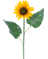 Le Tournesol artificiel 52 cm jaune est un tournesol artificiel simple avec des pétales jaune vif, un cœur marron foncé et deux grandes feuilles vertes sur une longue tige verte, isolées sur fond blanc.