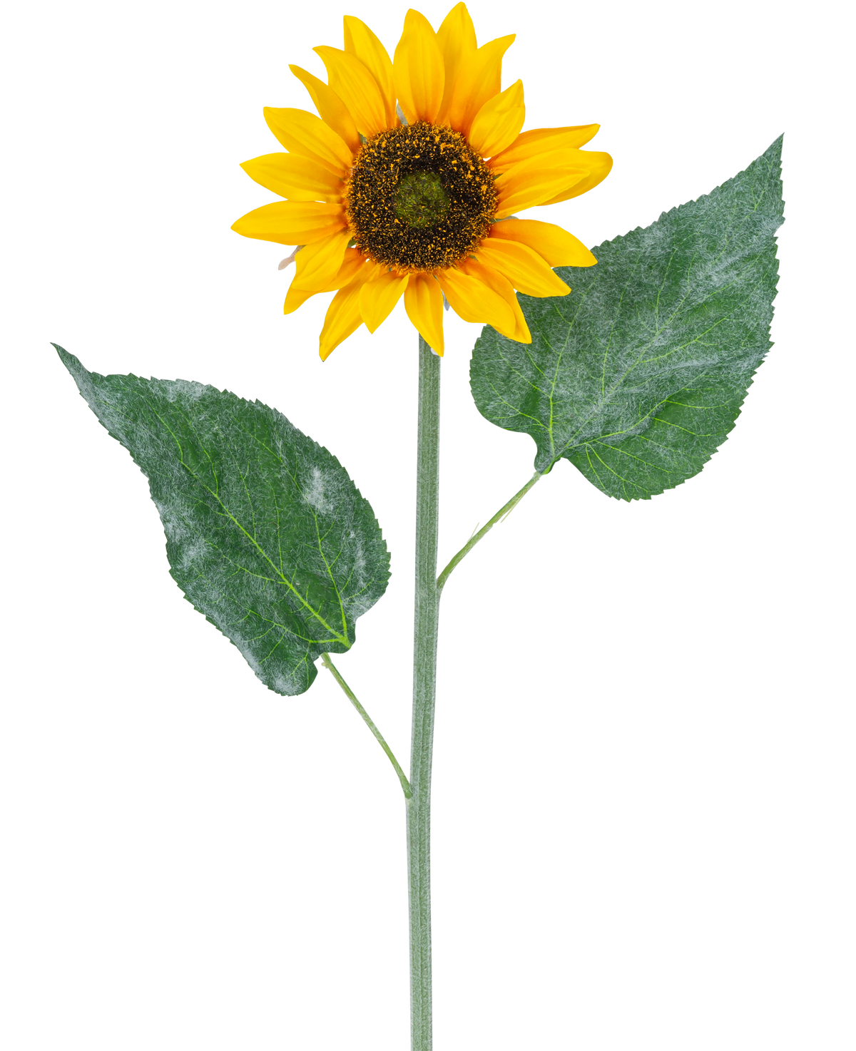 Le Tournesol artificiel 52 cm jaune est un tournesol artificiel simple avec des pétales jaune vif, un cœur marron foncé et deux grandes feuilles vertes sur une longue tige verte, isolées sur fond blanc.