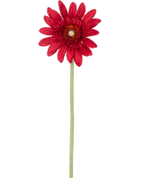 La Fleur Artificielle Gerbera 53 cm rouge possède un seul gerbera rouge avec des pétales superposés et un cœur jaune sur une longue tige verte, sur un fond blanc uni.