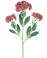 Une illustration numérique de la branche artificielle Sedum 48 cm rouge montre une plante à fleurs avec des feuilles vertes et des bouquets de petites fleurs rose-violet sur des tiges ramifiées, sur un fond blanc.