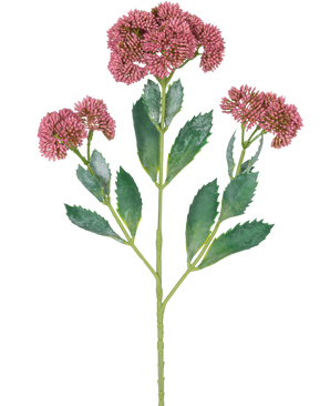 Une illustration numérique de la branche artificielle Sedum 48 cm rouge montre une plante à fleurs avec des feuilles vertes et des bouquets de petites fleurs rose-violet sur des tiges ramifiées, sur un fond blanc.