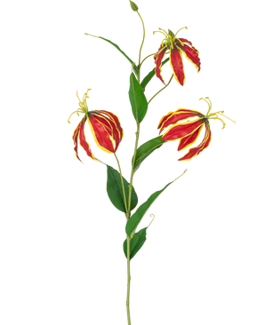 La Fleur Artificielle Gloriosa Real Touch Rouge 75 cm a une seule tige avec trois fleurs de lys rouges et jaunes vibrantes et de longues feuilles vertes, sur un fond blanc.