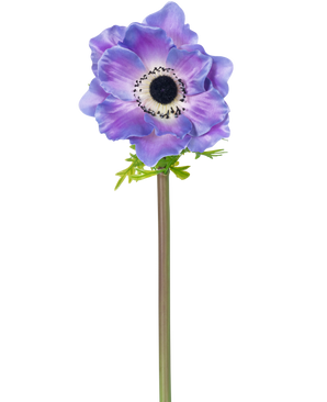 La fleur artificielle Anémone Deluxe 43 cm violette possède une seule anémone violette avec un cœur sombre et des pétales délicats sur une longue tige verte, représentée isolée sur un fond blanc.