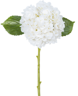De Kunstbloem Hortensia Real Touch Wit 49 cm heeft een enkele witte hortensia met ronde, volle bloemblaadjes, twee grote groene bladeren en een lange steel, tegen een effen witte achtergrond.