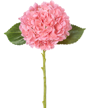 La Fleur Artificielle Charlotte Hortensia Real Touch Rose 49 cm présente un seul hortensia rose avec des grappes de pétales denses et rondes, deux feuilles vertes et une longue tige verte sur fond blanc.