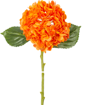 La Fleur artificielle Hortensia Charlotte Real Touch orange 49 cm a une fleur d'hortensia orange avec des pétales réalistes, des feuilles vertes et une longue tige, isolée sur un fond blanc.