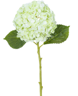 De Kunstbloem Hortensia Real Touch Lichtgroen 49 cm heeft een enkele lichtgroene hortensiabloem met ronde bloemblaadjes, twee groene bladeren en een lange steel op een witte achtergrond.