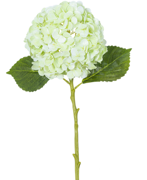 De Kunstbloem Hortensia Real Touch Lichtgroen 49 cm heeft een enkele lichtgroene hortensiabloem met ronde bloemblaadjes, twee groene bladeren en een lange steel op een witte achtergrond.