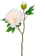 Een enkele steel van Kunstbloem Pioen 50 cm wit heeft een grote, witte pioenroos bloem in volle bloei, een gesloten knop en groene bladeren tegen een effen witte achtergrond.