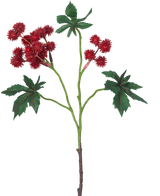 La Branche Artificielle Ricinus 43 cm rouge vin a une branche de ricin avec des gousses épineuses rouge vin et de grandes feuilles vertes en forme d'étoile sur fond blanc.