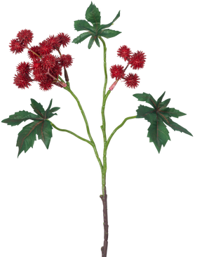 La Branche Artificielle Ricinus 43 cm rouge vin a une branche de ricin avec des gousses épineuses rouge vin et de grandes feuilles vertes en forme d'étoile sur fond blanc.