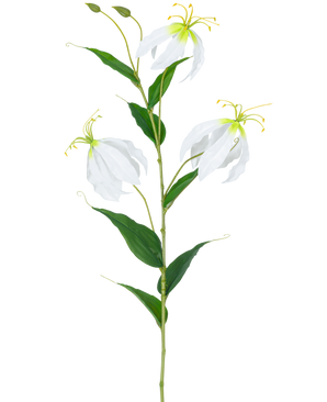 La Fleur Artificielle Gloriosa Real Touch Blanc 75 cm a une seule tige verte avec trois fleurs Gloriosa blanches ouvertes, deux bourgeons, de longues étamines jaunes et des feuilles vertes allongées sur un fond blanc uni.
