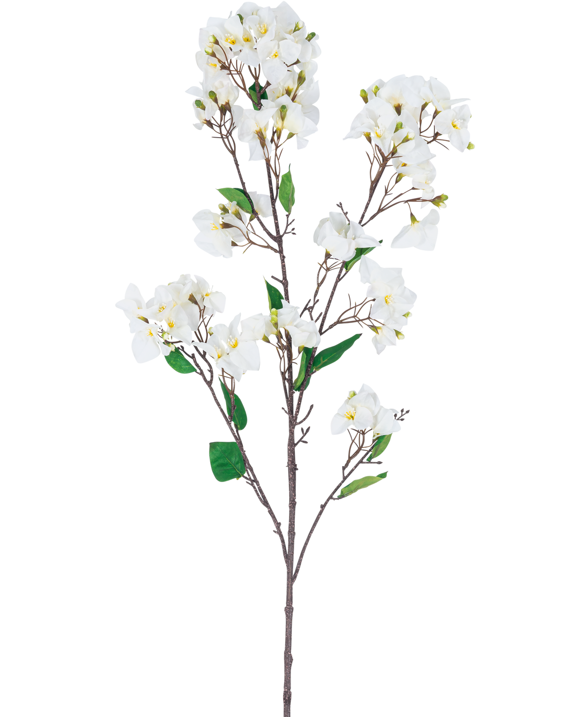 La Fleur Artificielle Bougainvillier 120 cm blanc est une tige de fleur artificielle avec de multiples branches brunes, des feuilles vertes et des bouquets de fleurs blanches au centre jaune, représentées sur un fond blanc.