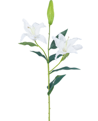 Fleur de lys artificielle Real Touch Blanc 95 cm
