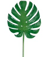 La Feuille Artificielle Monstera 88 cm est une grande feuille artificielle de monstera verte avec de profondes fentes et perforations, sur un fond blanc uni.
