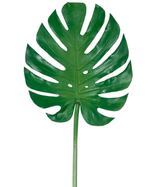 La Feuille Artificielle Monstera 88 cm est une grande feuille artificielle de monstera verte avec de profondes fentes et perforations, sur un fond blanc uni.