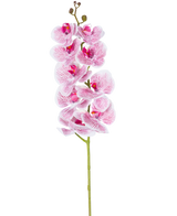 L'orchidée artificielle Real Touch Deluxe 105 cm en fuchsia/blanc a une tige unique avec de multiples fleurs, avec des pétales veinés de roses réalistes qui forment un accent décoratif saisissant sur un fond blanc uni.