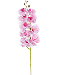 Orchidée artificielle Real Touch Deluxe 105 cm fuchsia/blanc