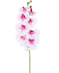 Orchidée artificielle Real Touch Deluxe 105 cm rose/blanc