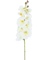 Un échantillon unique de l'orchidée artificielle Real Touch Deluxe 105 cm blanc/jaune avec plusieurs fleurs et boutons, joliment mis en valeur sur un fond blanc uni.