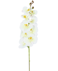Orchidée artificielle Real Touch Deluxe 105 cm blanc/jaune
