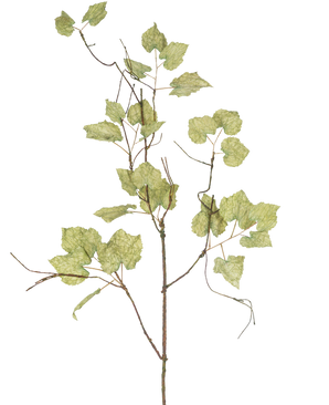 La branche de raisin séché artificiel 120 cm est une branche artificielle marron élancée avec plusieurs feuilles de papier vert clair qui ressemblent à une vigne séchée, sur un fond blanc uni.