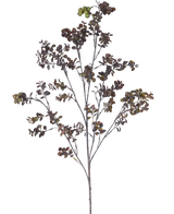 De Kunsttak Eucalyptus bes 110 cm bruin heeft een hoge tak met meerdere dunne stengels, kleine ronde bladeren en trosjes groenbruine bessen tegen een effen witte achtergrond.