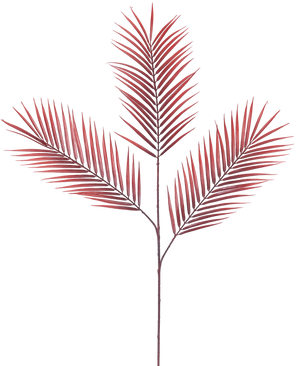 La Fougère Branche Artificielle 100 cm rouge possède cinq feuilles de palmier rouges longues et étroites s'étendant à partir d'une seule tige, sur un fond blanc uni.