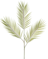 La Fougère Branche Artificielle 100 cm verte possède une seule branche de fougère artificielle verte avec cinq feuilles longues, étroites et épineuses dépassant d'une tige centrale, sur un fond blanc.