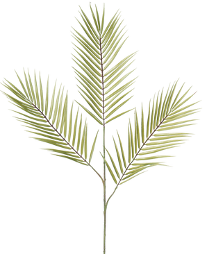 La Fougère Branche Artificielle 100 cm verte possède une seule branche de fougère artificielle verte avec cinq feuilles longues, étroites et épineuses dépassant d'une tige centrale, sur un fond blanc.