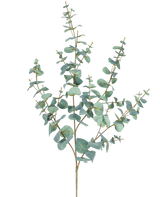 L'Eucalyptus Artificiel 120 cm possède plusieurs tiges fines et des feuilles rondes bleu-vert sur un fond uni blanc.