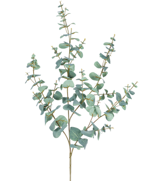 L'Eucalyptus Artificiel 120 cm possède plusieurs tiges fines et des feuilles rondes bleu-vert sur un fond uni blanc.