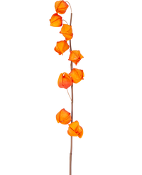 Fleur artificielle Physalis Lampion 90 cm orange