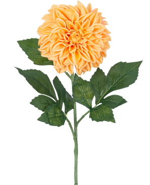 Een enkele Kunstbloem Dahlia Real Touch Perzik, 72 cm hoog, heeft meerdere groene bladeren en een grote, volle perzikkleurige bloem tegen een effen witte achtergrond.